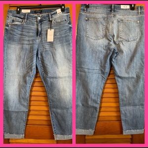 Judy Blue Jeans, 15/32, Style: JB82192MD, Boyfriend